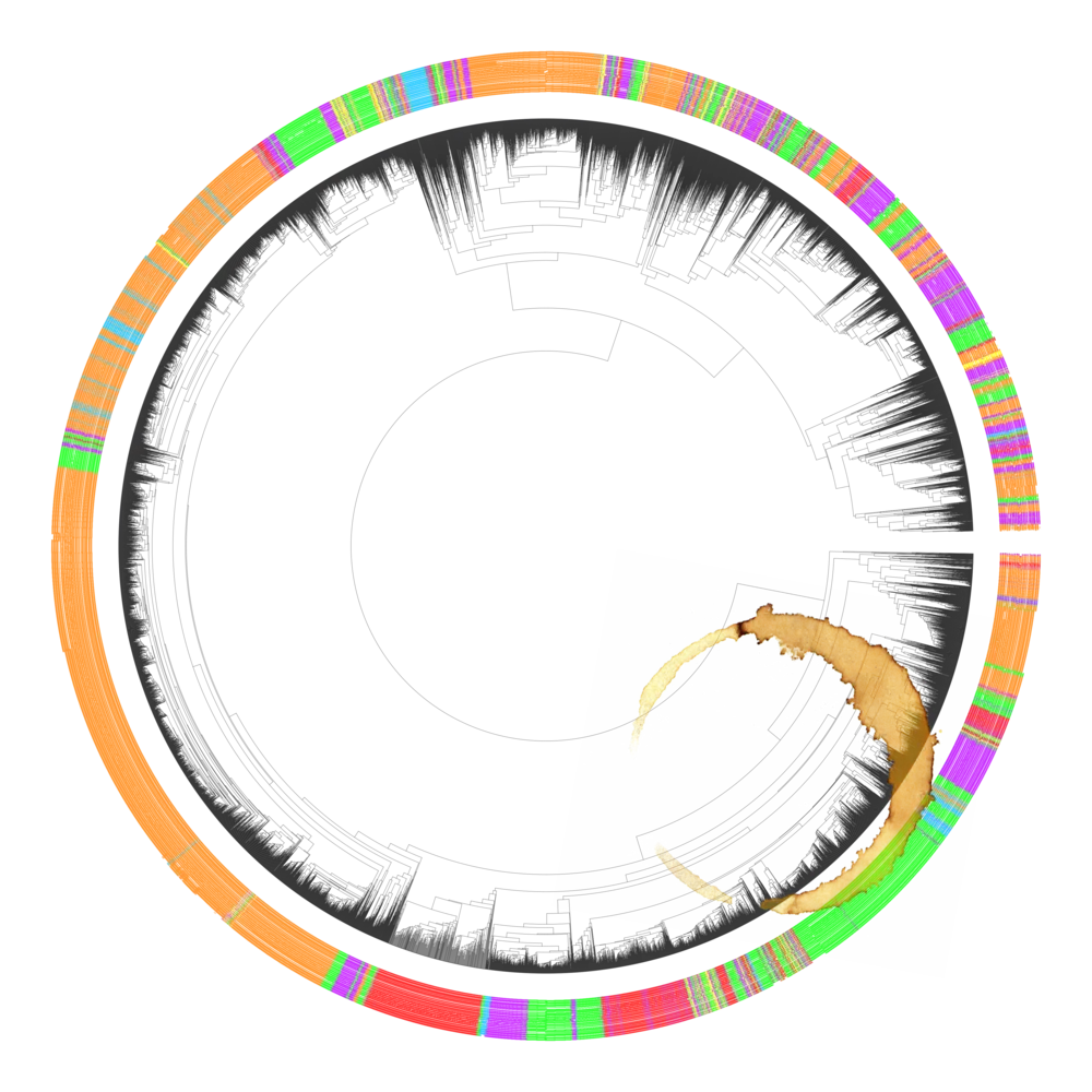 Dendrogram comparing thousands of metabarcoding datasets by environmental source